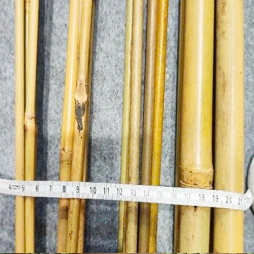 TRÚC SƠ CHẾ CHỐNG MỐI MỌT 2M (ĐƯỜNG KÍNH 2-3 CM)